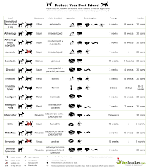 Useful Infographic On Popular Flea Tick Heartworm