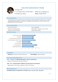 Attractive Strongly Preferred Business Analyst Resume With Mary A Johnson