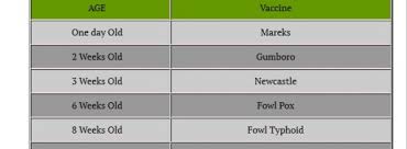 Improved Kienyeji Chicken Vaccination Schedule Neochicks