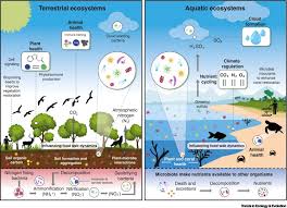 Microbiomics In Ecosystem Restoration