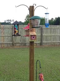 My Multiple Bird Feeder Water Station