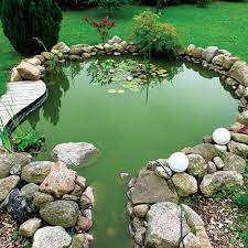 how to get rid of algae in a pond the