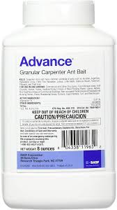 basf 396153 advance carpenter ant