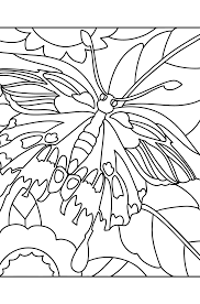 Butterflies coloring pages for Adults ...