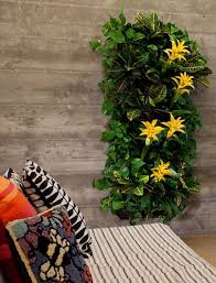Scouted Living Wall Planters We Are