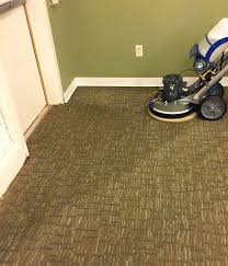 commercial cleaning blue dog carpet