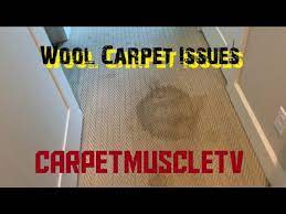 wool carpet cleaning instruction vlm