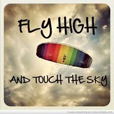 Image result for pics for flying high