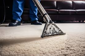 carpet cleaner design that