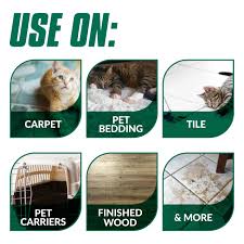 simple green cat pet stain and odor