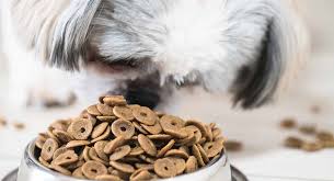 An essential foundation of your puppy's health is feeding him the best possible dog food from the start. Best Puppy Food For Shih Tzu Puppies Dietary Needs