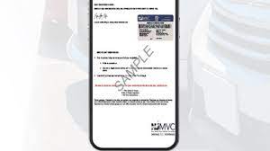 electronic form of vehicle registration