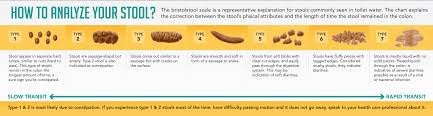 Types Of Poop Bristol Stool Chart Best Treatment For Stools