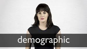 demographic definition and meaning