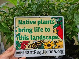 Florida Native Plant Nursery Landscape