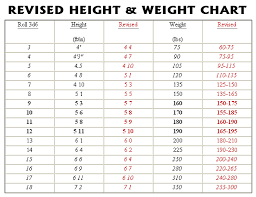 29 High Quality Model Height Weight Chart