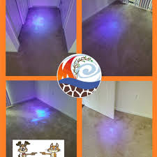 the best 10 carpet cleaning near king