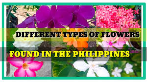 common flowers found in the philippines
