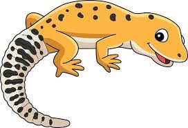 leopard gecko vector art icons and