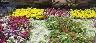 Landscape Services Icos Gardening And