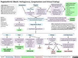Hypovolemic Shock Pathogenesis Complications And Clinical