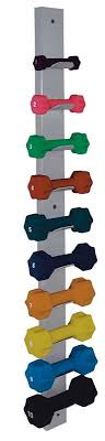 Dumbbell Wall Rack Holds 10 Small 10
