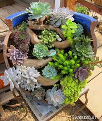 Broken Pot Ideas For Garden