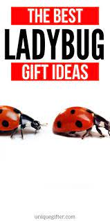 best gifts for ladybug unique