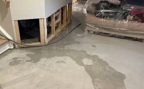 How To Dry Carpet In Basement After A