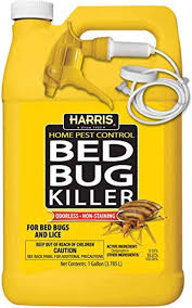 the 11 best bed bug spray of 2023 and