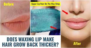 waxing lip make hair grow back thicker