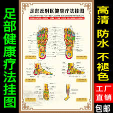 Usd 6 00 Body Foot Reflection Area Flipchart Foot Massage