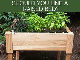What To Put Under Raised Beds