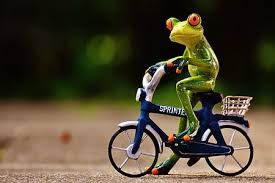 Gratis foto: frøen, cykel, Sjov, Nuttet, Sød, figur, kørsel | Hippopx