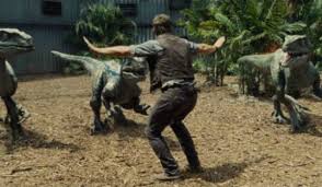 Chris pratt is the new jennifer lawrence. Chris Pratt Finally Picked His Favorite Jurassic World Meme Cinemablend