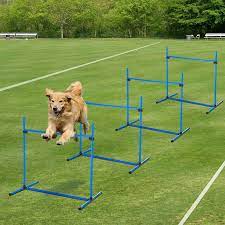 pawhut set of 4 dog training agility