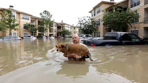 Image result for flood photos
