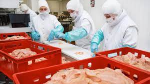Lab Grown Chicken In Us gambar png