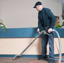 edmonton professional carpet cleaning