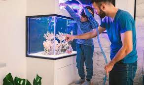 How To Clean A Fish Tank Express Co Uk