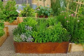 7 Steps To Start An Outdoor Herb Garden