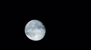 Image result for images of full moon in hands