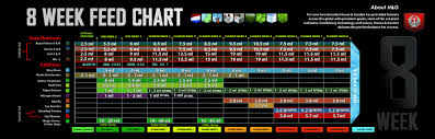 Emerald Harvest Grow Chart Www Bedowntowndaytona Com