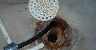 basement drain backing up 55