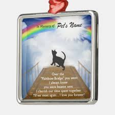 rainbow bridge memorial poem for cats