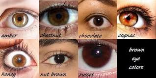 Brown Eye Color Chart Eye Color Chart Eye Color Writing
