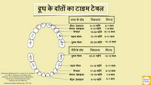 Teething In Babies And Teething Timeline In Hindi Sehat Funde