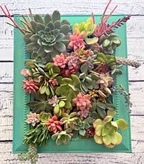 Succulent Wall Planter Using A Picture