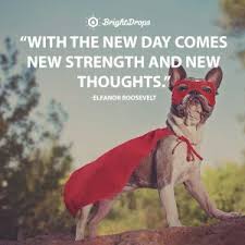 Send the glad thursday quotes and wishes you require. 27 Funny Good Morning Quotes To Jumpstart Your Day Bright Drops