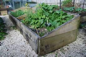 raised beds pod easy edible gardening